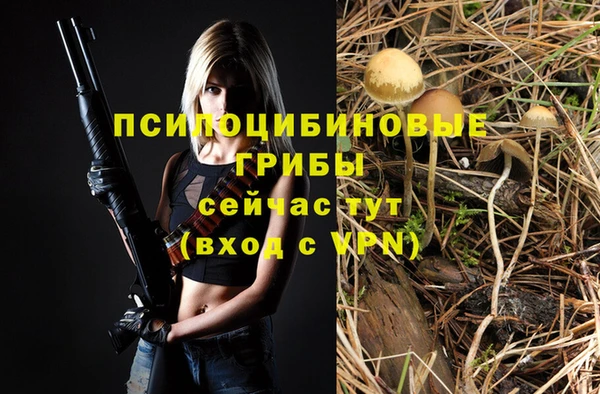 прущий лед Бронницы